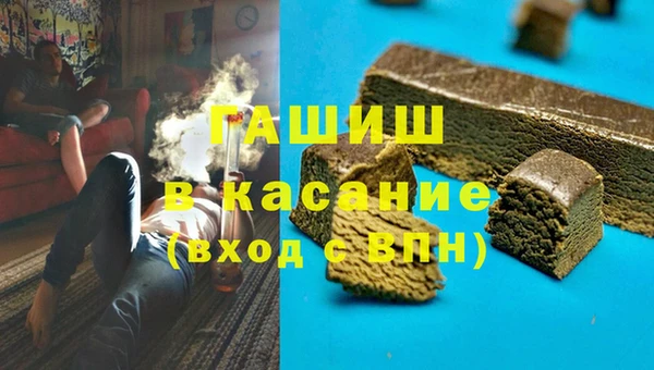 ECSTASY Богданович